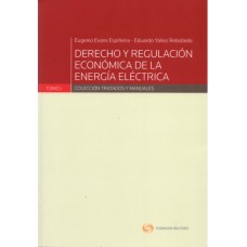 DERECHO Y REGULACIÓN ECONÓMICA DE LA ENERGÍA ELÉCTRICA